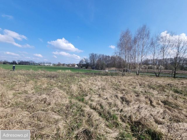 Działka budowlana Zielona Góra Ochla. Zdjęcie 1