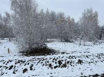 Działka rolna Gadka, ul. Mały Gościniec. Zdjęcie 3