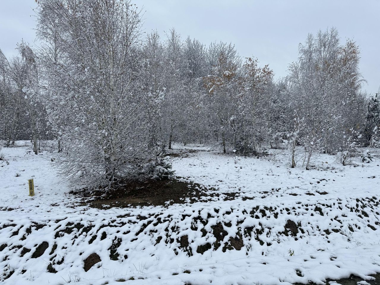 Działka rolna Gadka, ul. Mały Gościniec. Zdjęcie 4