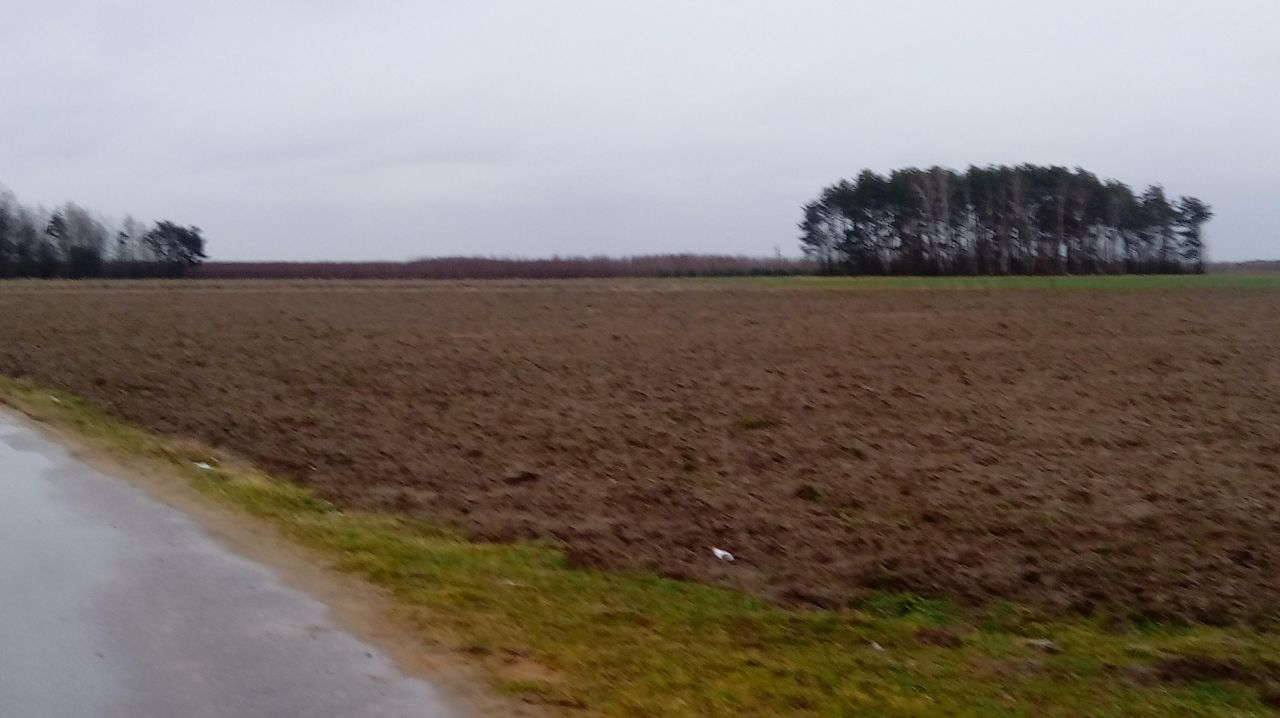 Działka rolno-budowlana Proboszczewice. Zdjęcie 4