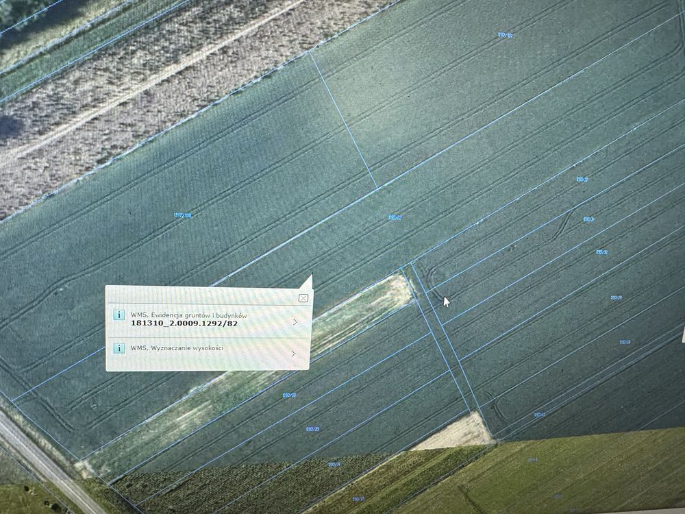 Działka rolna Żurawica Bażantarnia. Zdjęcie 8