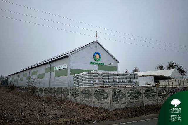 Hala/magazyn Ciechocin. Zdjęcie 4