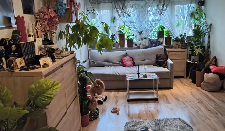 Mieszkanie 2-pokojowe Łódź Teofilów, ul. Plantowa