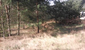 Działka budowlana Rosanów
