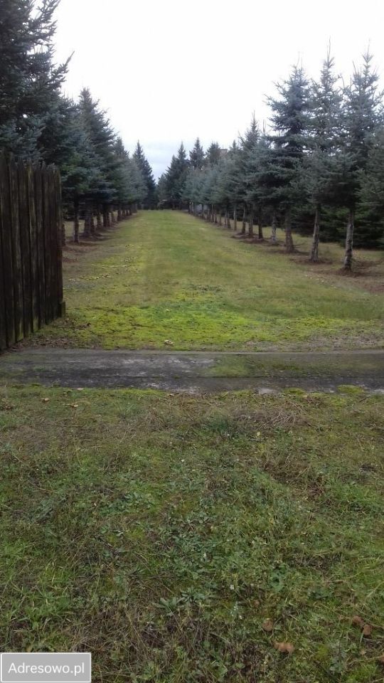 Działka budowlana Żółtki. Zdjęcie 9