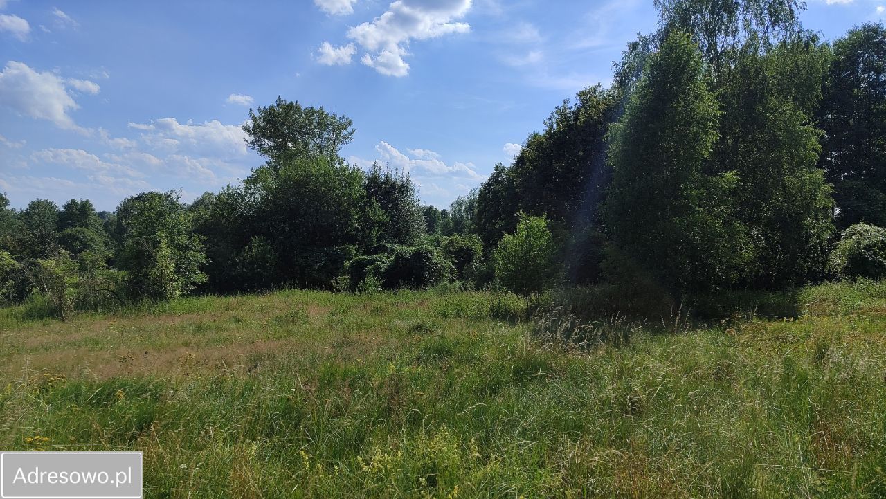 Działka rolna Zielona Góra Nowy Kisielin, ul. Nowy Kisielin-Dolna. Zdjęcie 4