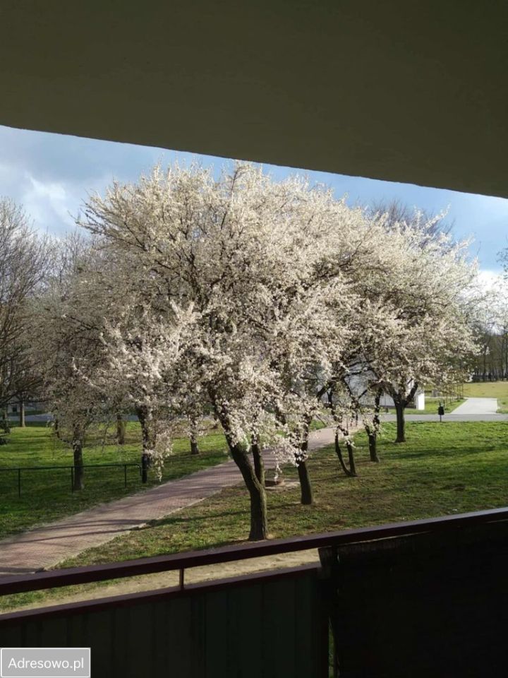 Mieszkanie 3-pokojowe Lublin Czuby, ul. Bursztynowa. Zdjęcie 8