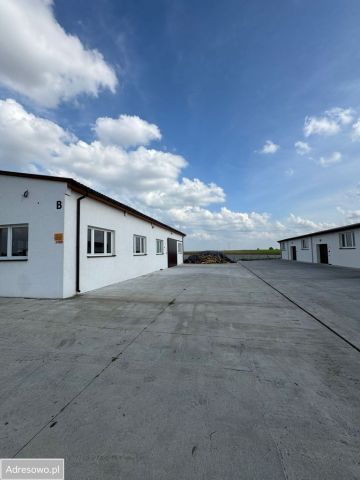 Hala/magazyn Dolany. Zdjęcie 1