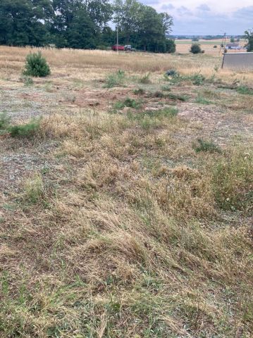 Działka budowlana Tworzymirki. Zdjęcie 1