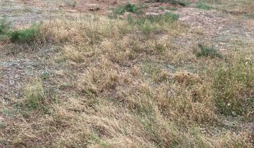 Działka budowlana Tworzymirki