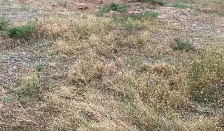 Działka budowlana Tworzymirki