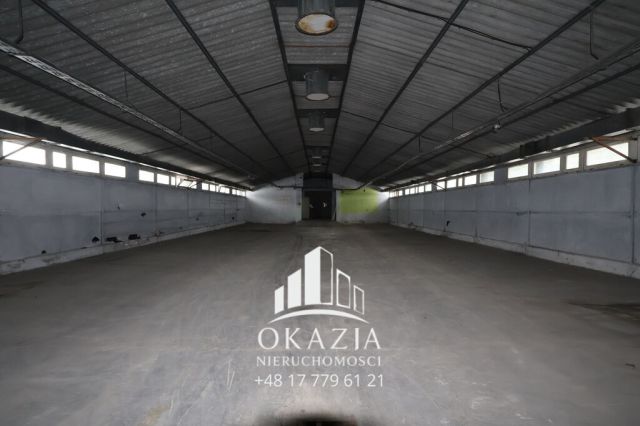 Hala/magazyn Wysoka Głogowska. Zdjęcie 7