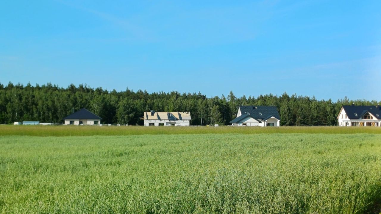 Działka budowlana Zosin, Strusia. Zdjęcie 5