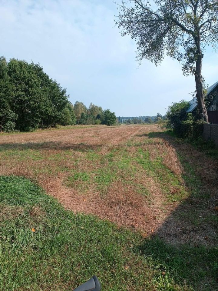 Działka budowlana Skruda. Zdjęcie 1