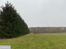 Działka budowlana Mosina. Zdjęcie 3