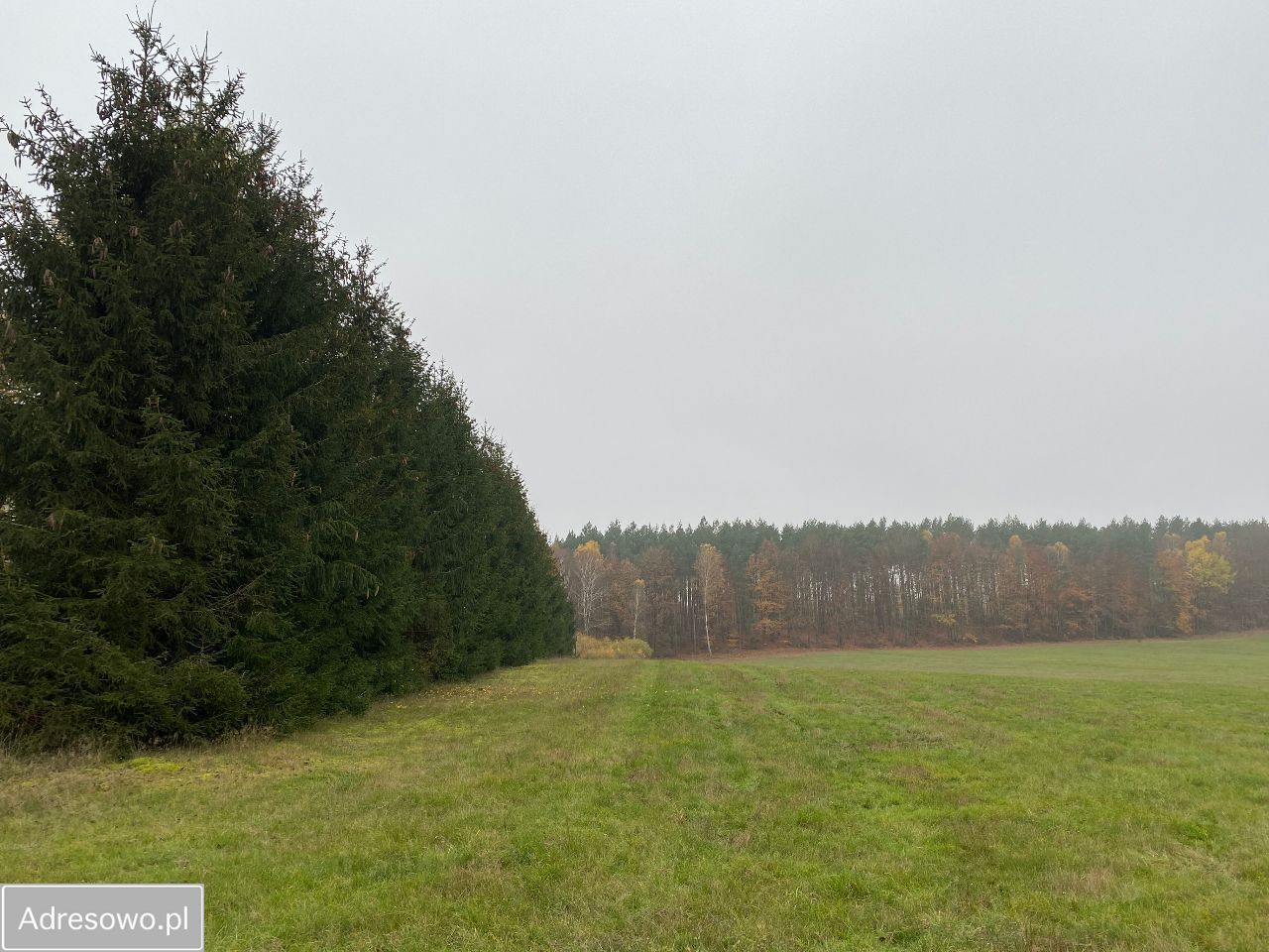 Działka budowlana Mosina. Zdjęcie 4