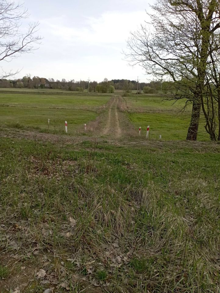 Działka Burlaki. Zdjęcie 3