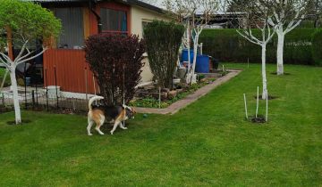 Działka rod Piechcin