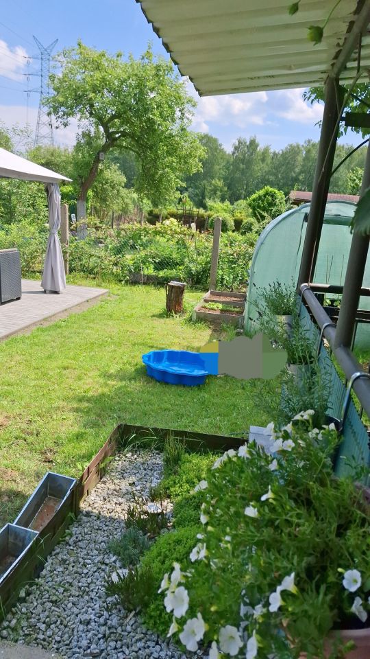 Działka rod Katowice Nikiszowiec, ul. Górniczego Dorobku. Zdjęcie 3