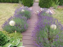 Działka rod Bydgoszcz, ul. Inowrocławska. Zdjęcie 2