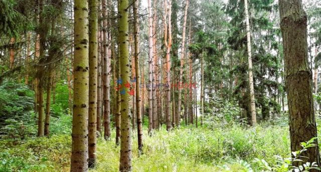 Działka budowlana Konstancin-Jeziorna. Zdjęcie 2