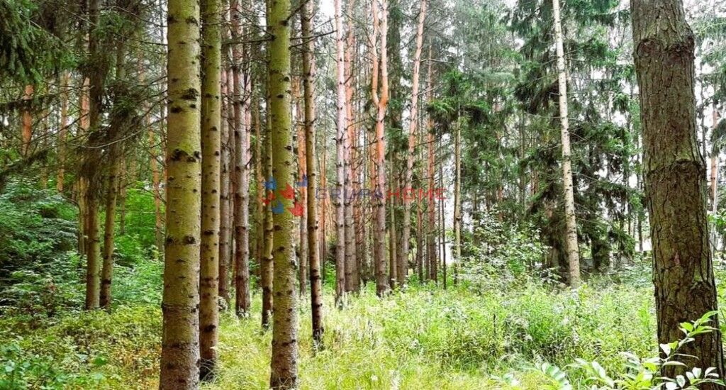 Działka budowlana Konstancin-Jeziorna. Zdjęcie 2