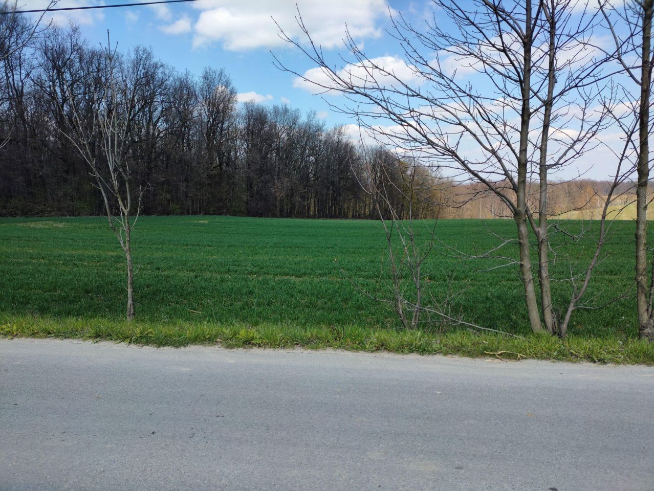 Działka budowlana Celiny. Zdjęcie 27