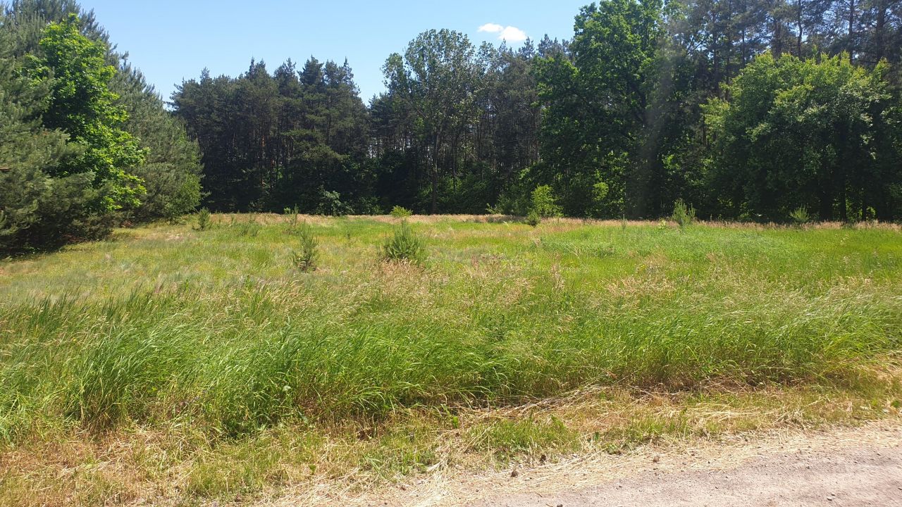 Działka budowlana Bartodzieje. Zdjęcie 5