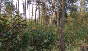 Działka budowlana Mariampol