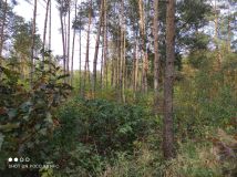 Działka budowlana Mariampol. Zdjęcie 1