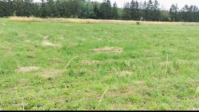 Działka rolno-budowlana Szczecin Płonia, ul. Choinkowa. Zdjęcie 2