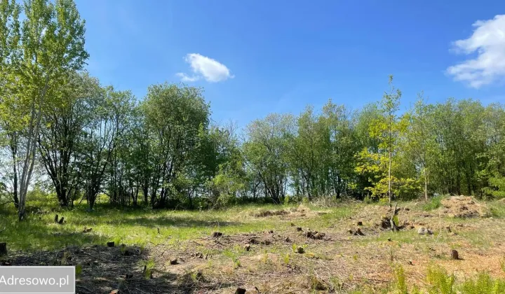 Działka budowlana Stare Czarnowo, ul. Szczecińska