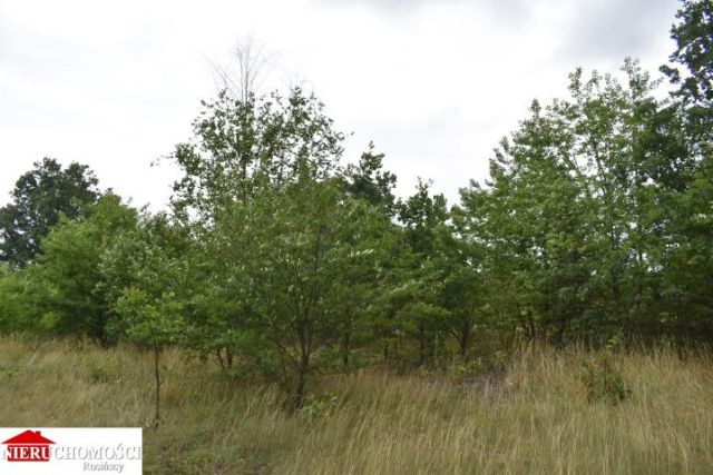 Działka budowlana Ruda. Zdjęcie 4