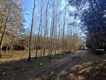 Działka rolna Wszebory. Zdjęcie 4