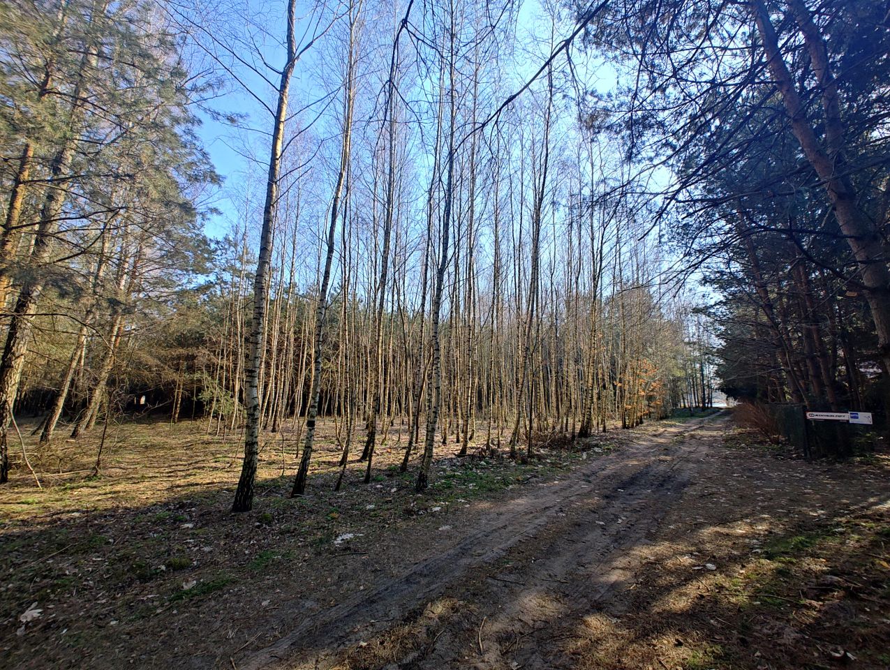 Działka rolna Wszebory. Zdjęcie 5