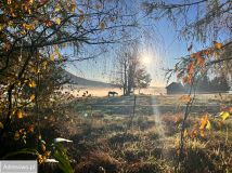 dom letniskowy Krzywe. Zdjęcie 2