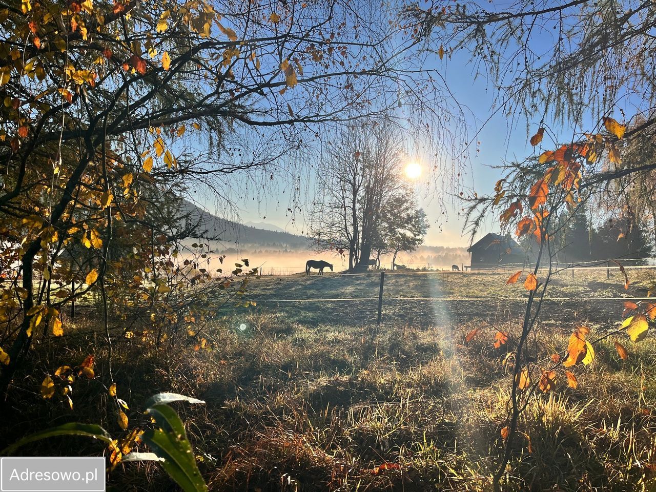 dom letniskowy Krzywe. Zdjęcie 3