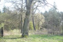 Działka budowlana Krupski Młyn, Kolonia Stary Ziętek. Zdjęcie 2