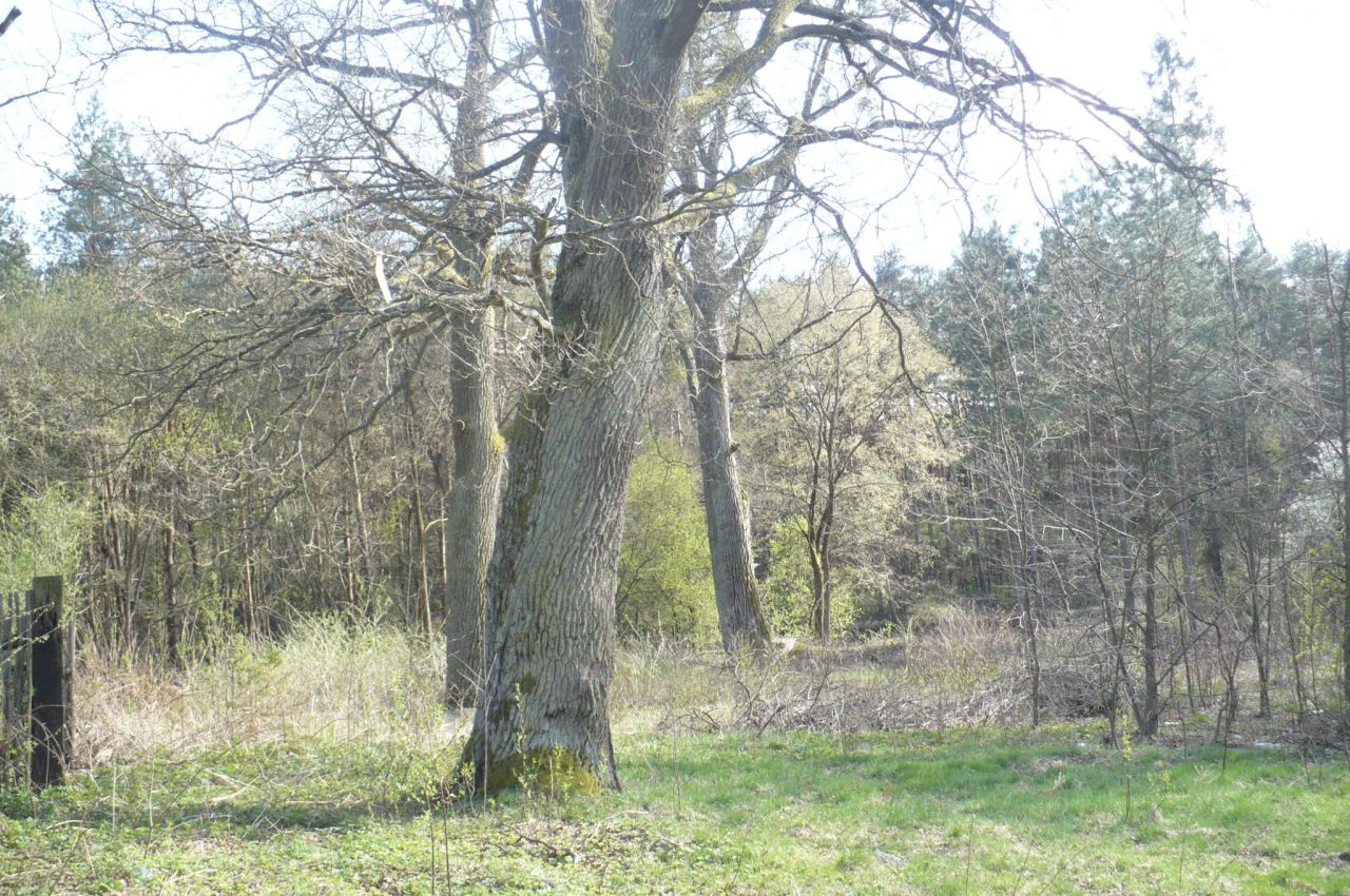 Działka budowlana Krupski Młyn, Kolonia Stary Ziętek. Zdjęcie 3