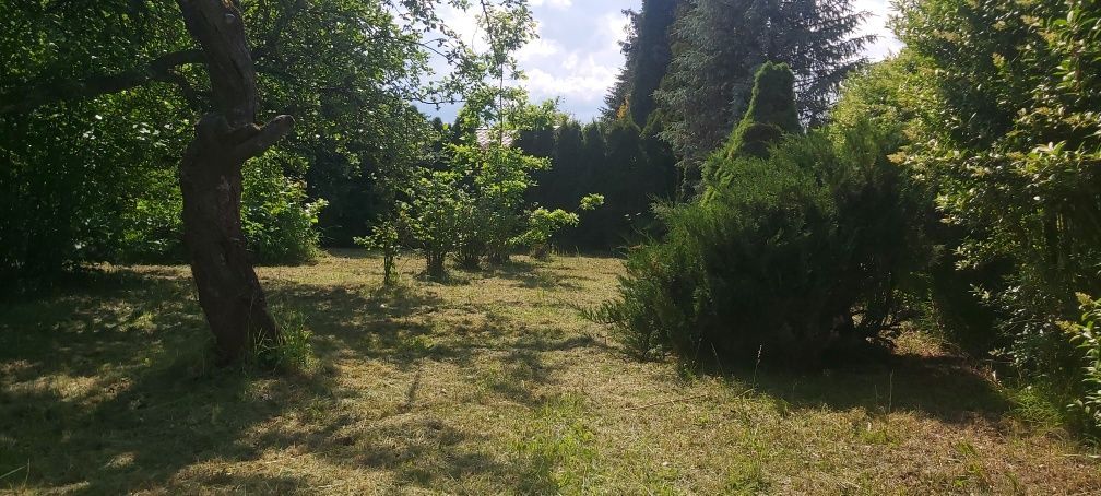 Działka rod Skierniewice. Zdjęcie 2