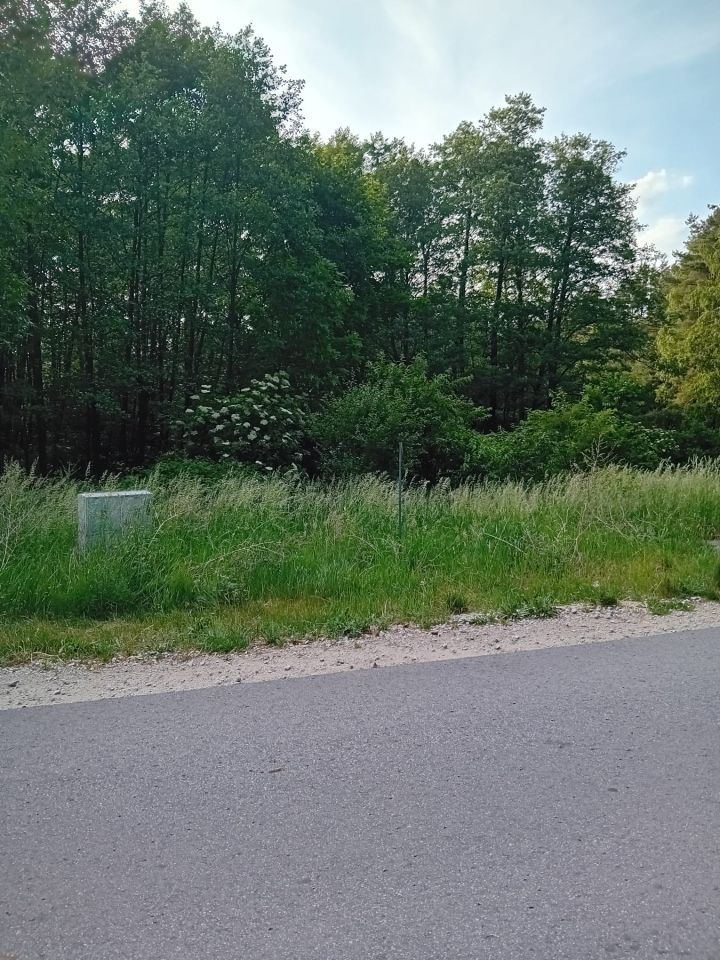 Działka budowlana Lubochnia. Zdjęcie 5