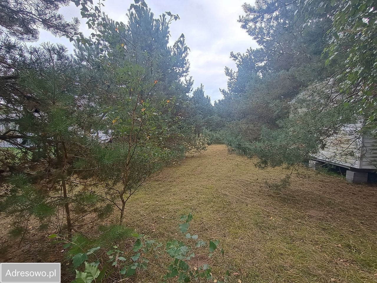 Działka rekreacyjna Drzonowo. Zdjęcie 19