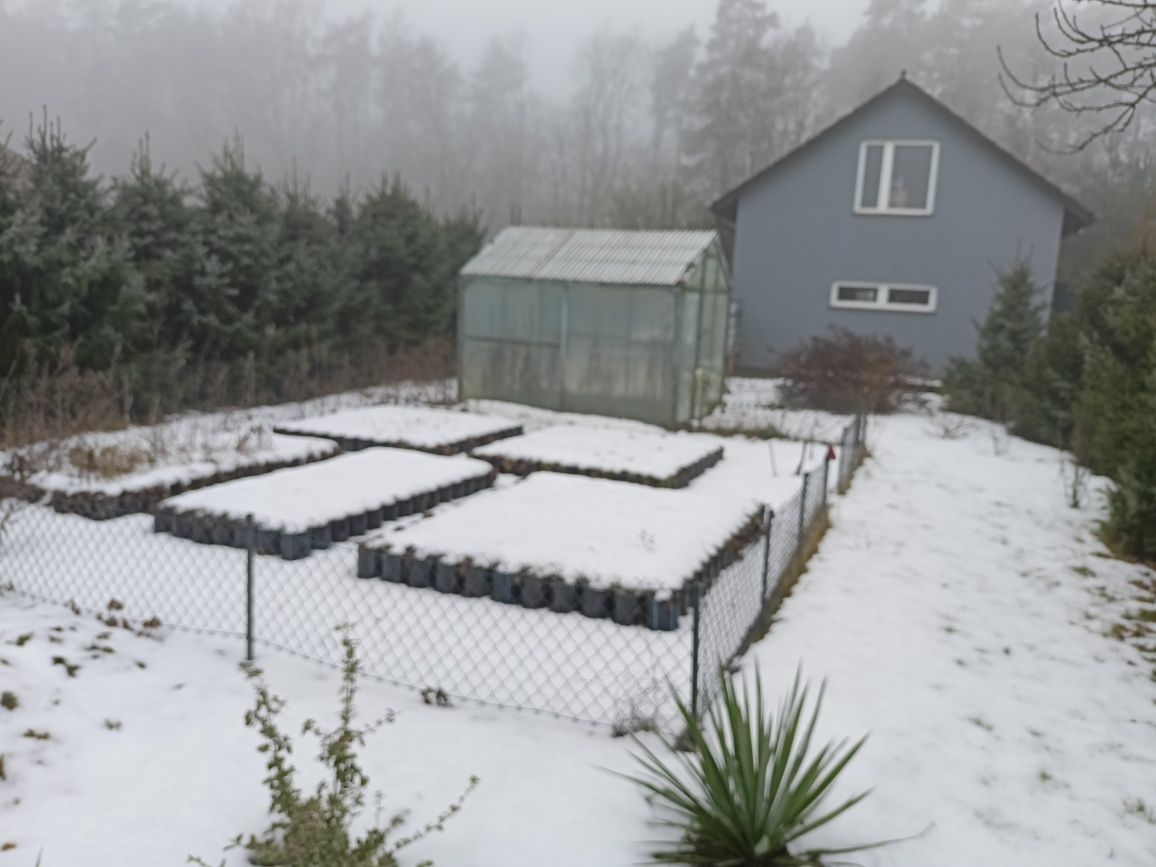 Działka budowlana Stróżewko. Zdjęcie 6