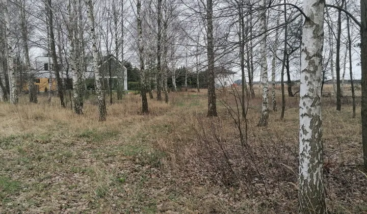 Działka budowlana Sękocin Nowy, .