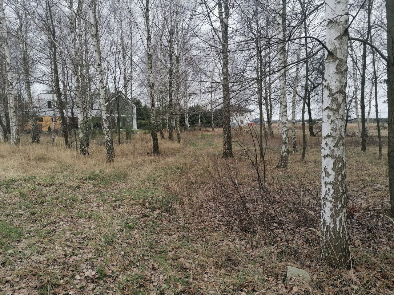 Działka budowlana Sękocin Nowy, .. Zdjęcie 1