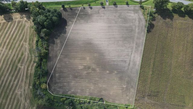 Działka rolna Plęsy. Zdjęcie 4