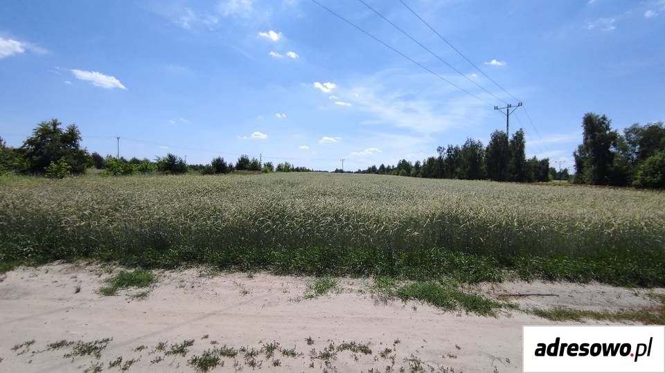 Działka rolna Stary Sławacinek. Zdjęcie 4