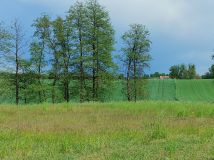 Działka rolna Niemieczkowo. Zdjęcie 4