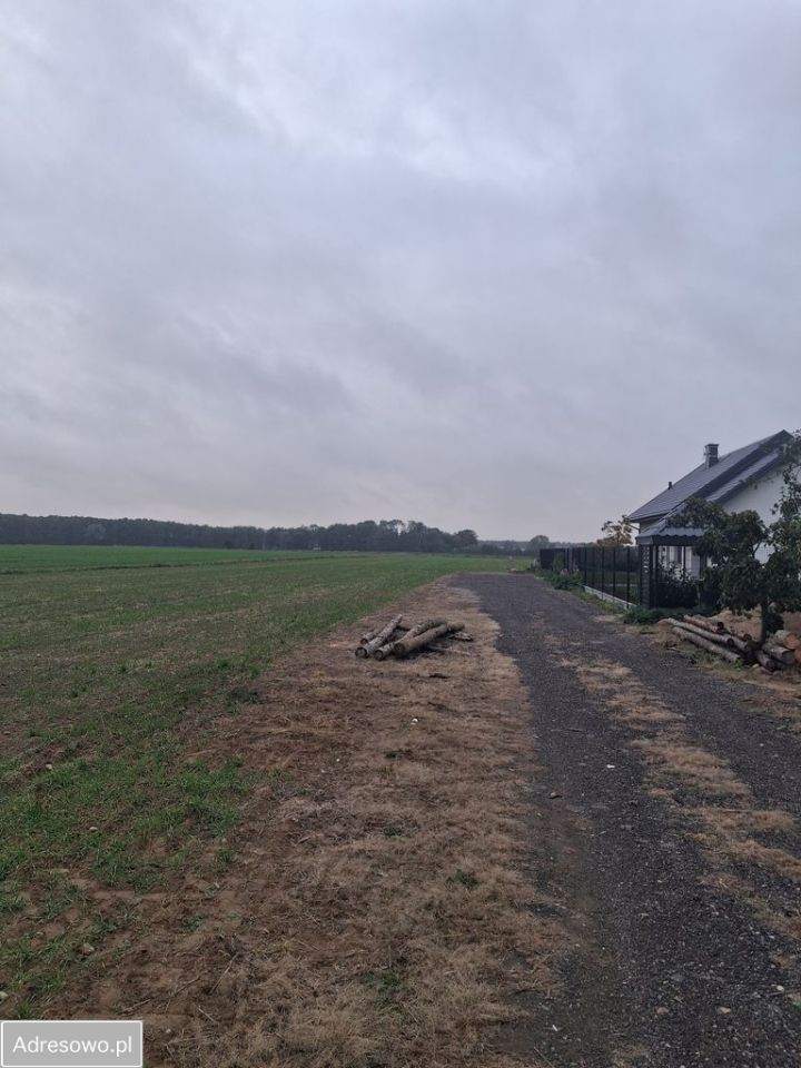 Działka budowlana Skarżyn, ul. Wyszogrodzka. Zdjęcie 4