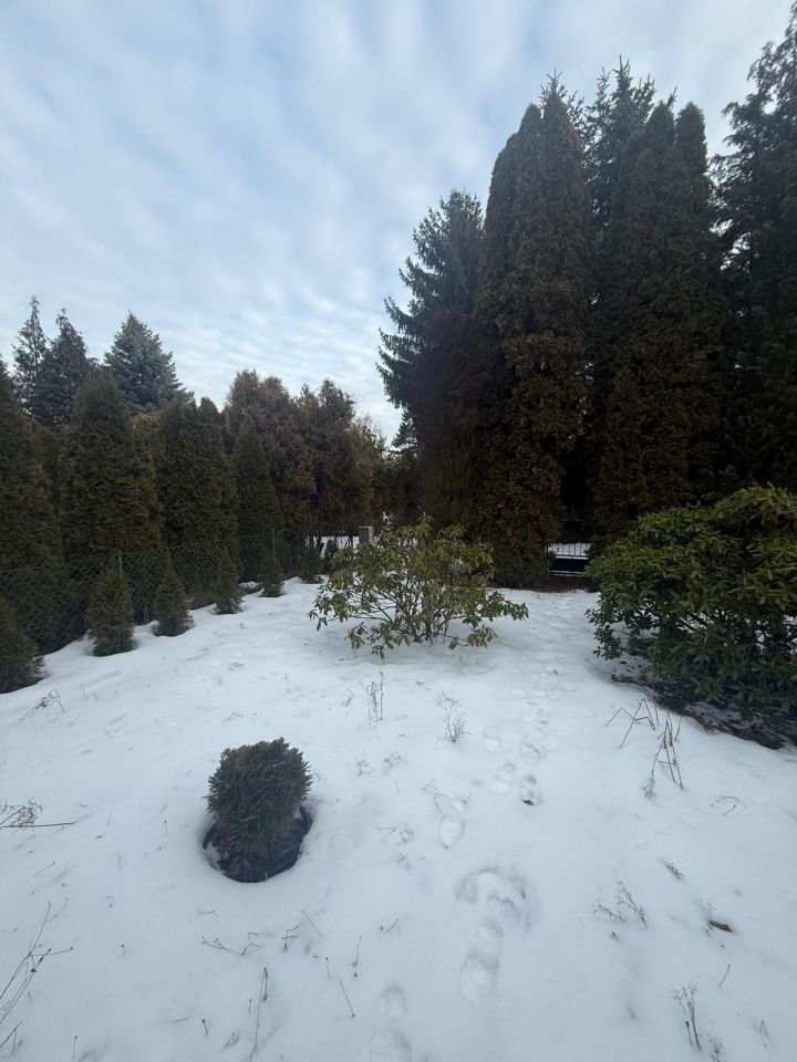 Działka rod Grodzisk Mazowiecki. Zdjęcie 5